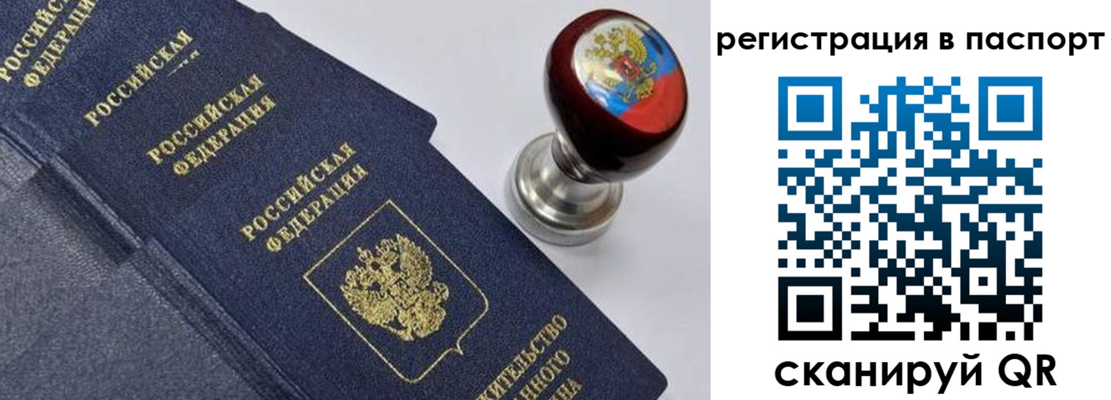 прописка поиск в Московской области